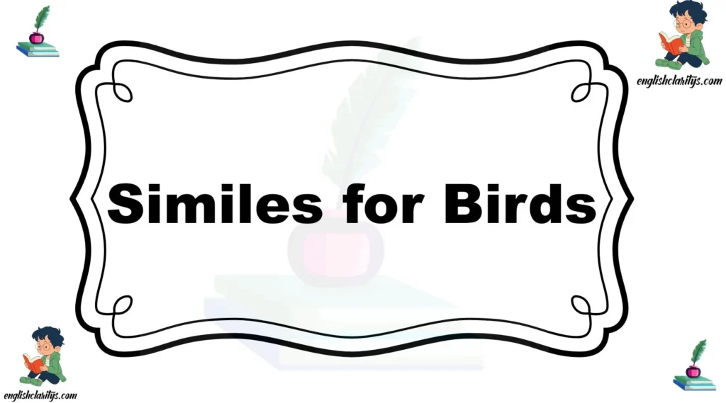 Similes for Birds