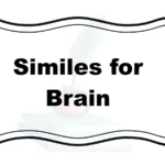 Similes for Brain