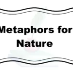 Metaphors for Nature