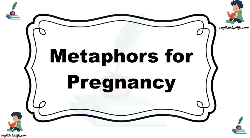 Metaphors for Pregnancy